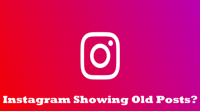 How to Download Instagram Videos via Snapinsta