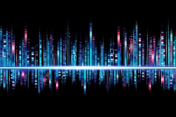 professional backing tracks