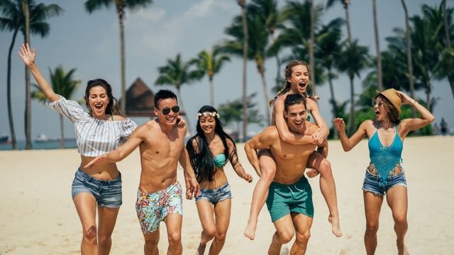 Amusement Park Extravaganza: The Best Rides and Attractions